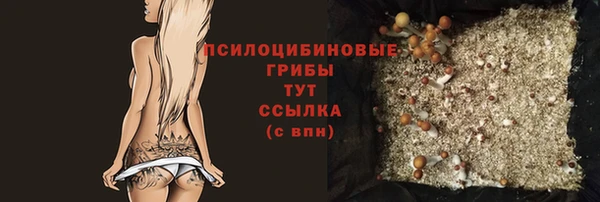 стаф Абаза