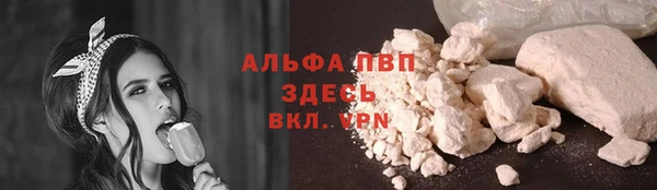 стаф Абаза
