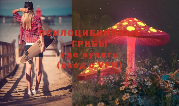 стаф Абаза