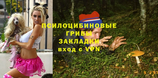 первитин Абинск